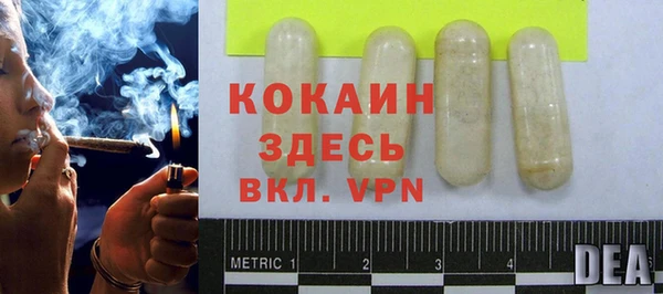 дживик Нея