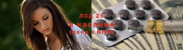 дживик Нея
