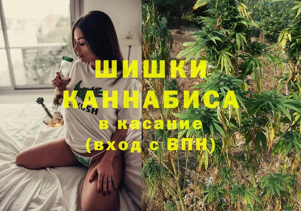 гашик Нефтекумск