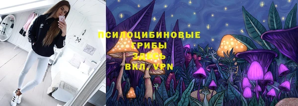 гашик Нефтекумск