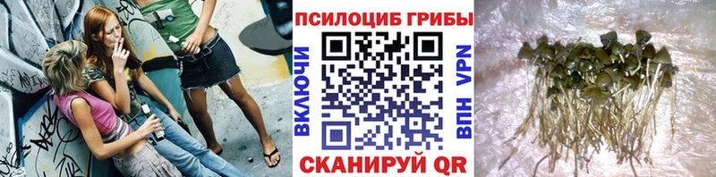 Галлюциногенные грибы ЛСД  Купить закладки  Саяногорск 